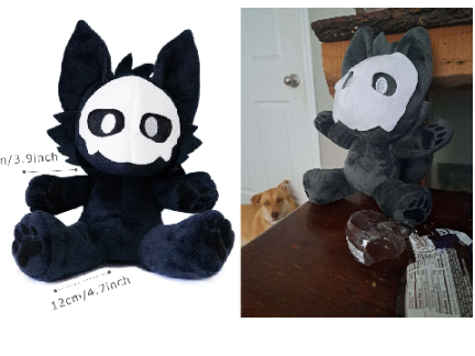 what i saw on amazon vs what i got