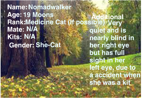 Warriors Cats Nomadwalker