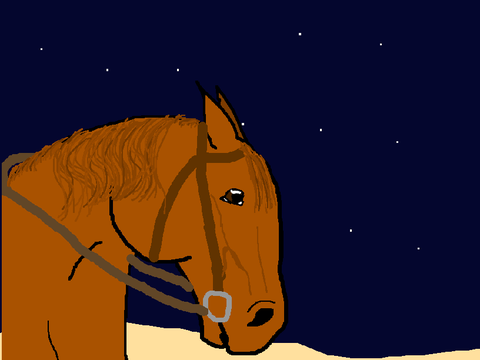 Horse for Effiew 