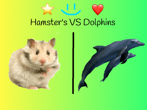 Dolphin or Hamster?