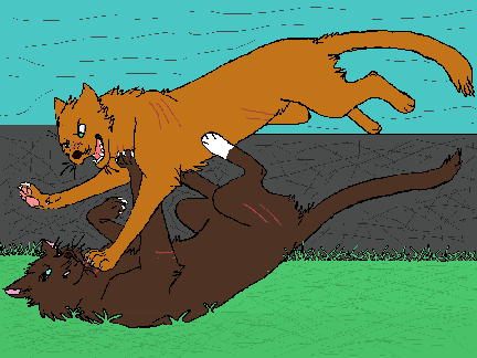 Warrior Cats Fighting (art)