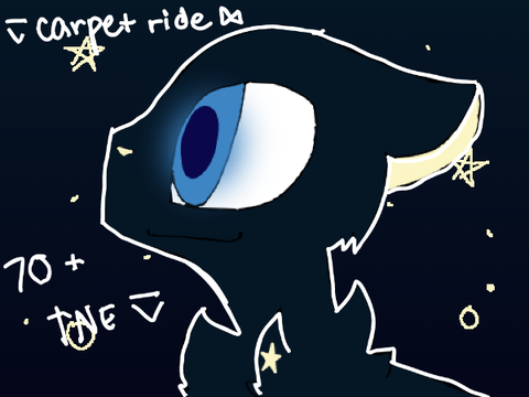 ⊽ carpet ride ⋈ 70 + TNE ⊽ 