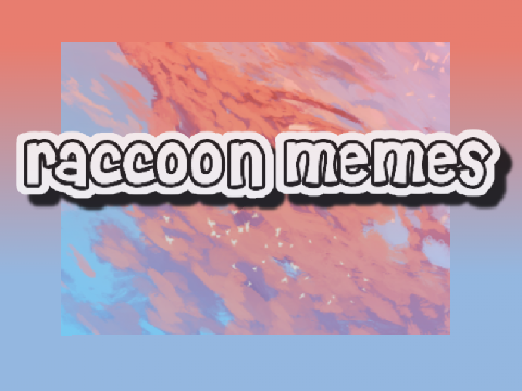 raccoon memes
