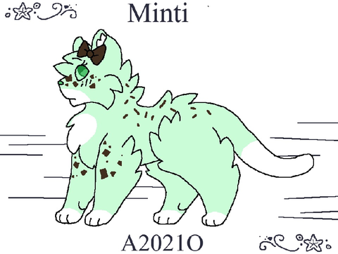 mini point purge