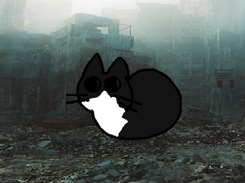 Maxwell the cat in war