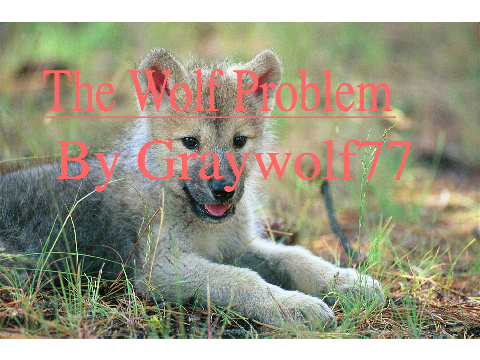 The Wolf Problem