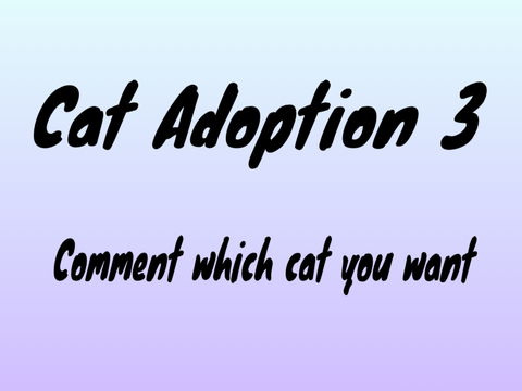 Cat adoption 3