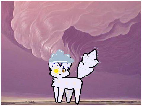 Storm