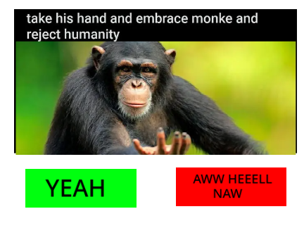 Monke