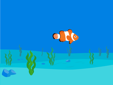 Fish Food Feeding