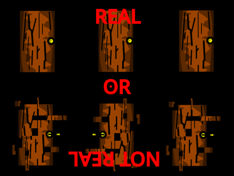 Real Or Not Real