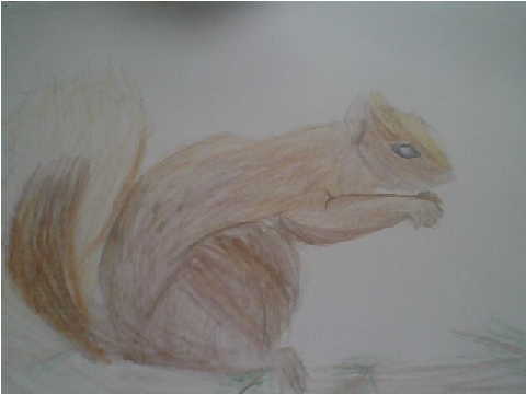  Art Contest RESPONSE 