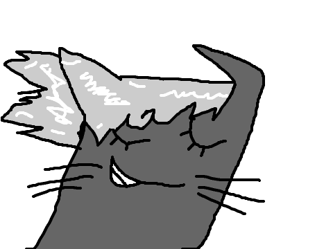 flowy hair cat