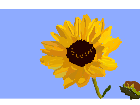 Sunflower Blockshade