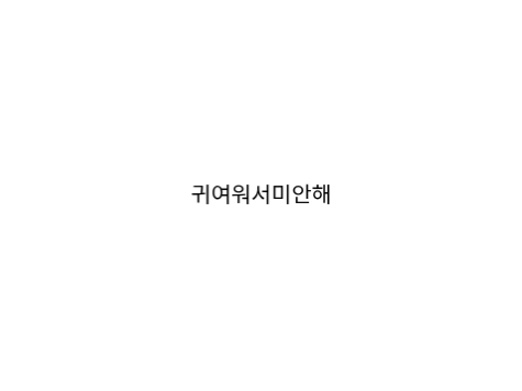 可愛くてごめん　韓国