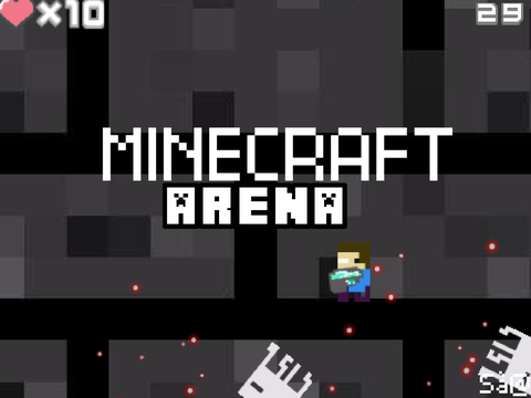 MINECRAFT ARENA