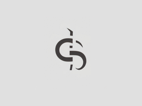 S logo