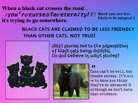 #BlackCats: They Aren't Unlucky remix remix remix remix remix remix