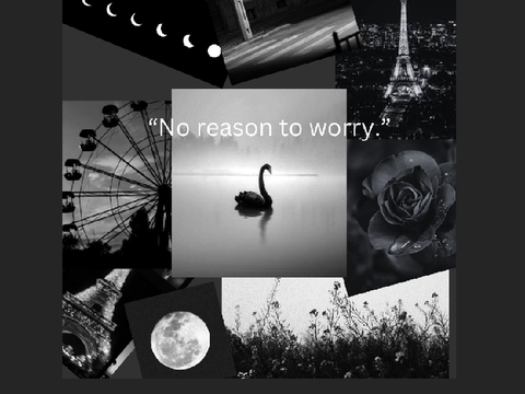 Gift for _The_Black_Swan_