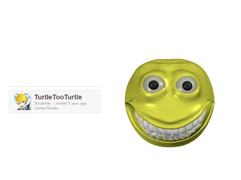 why you should follow TurtleTooTurtle