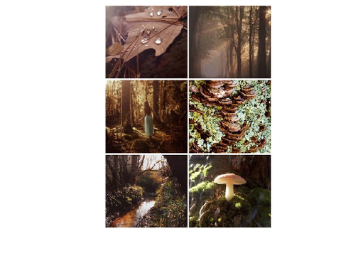 Moodboard