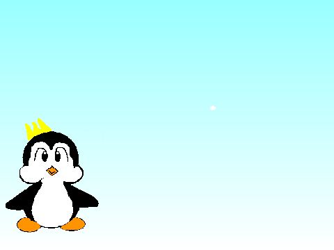 cute animal contest results!