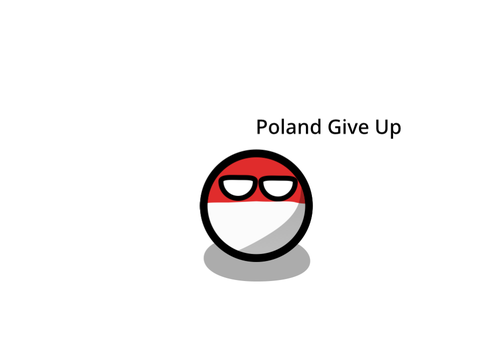 Poland Into Space