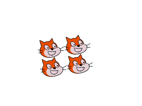 Cat head