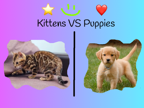 Kittens or Puppies?