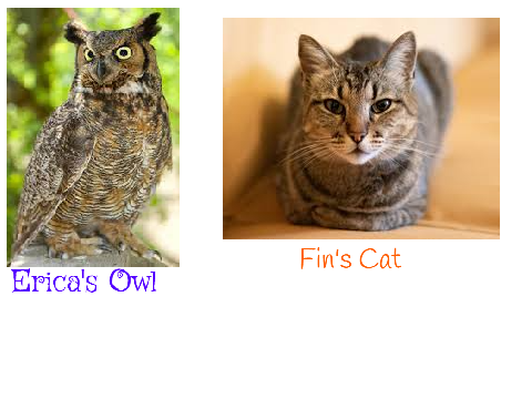 Fin And Erica's Pets For School