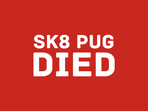 SK8 PUG remix