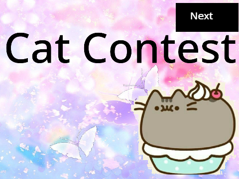 600 follows Cat Contest Entry