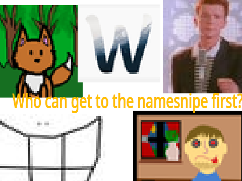 Who can get to the namesnipe first?