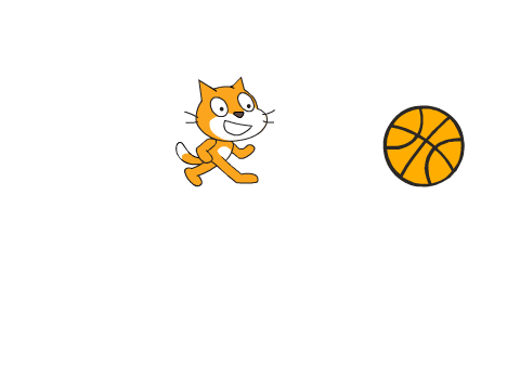 Tony the cat smashes his face into a basketball
