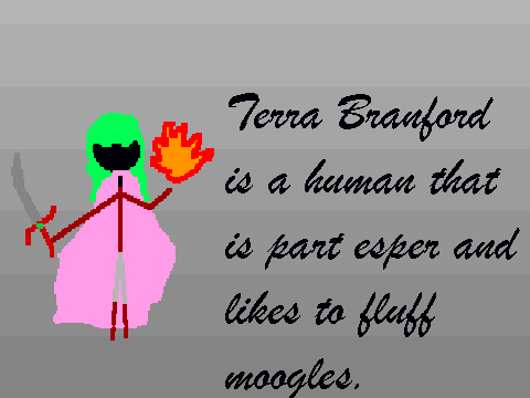 FF stick bios:terra