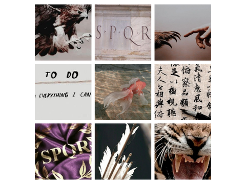 ⪼— ⌈ f r a n k  z h a n g  a e s t h e t i c ⌋