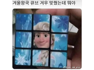 생존신고