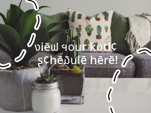 View Your KotLC Schedule Here