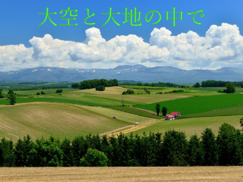 大空と大地の中で（1977）　- for  松山 千春