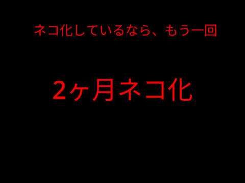 やってしまった…ニャン。