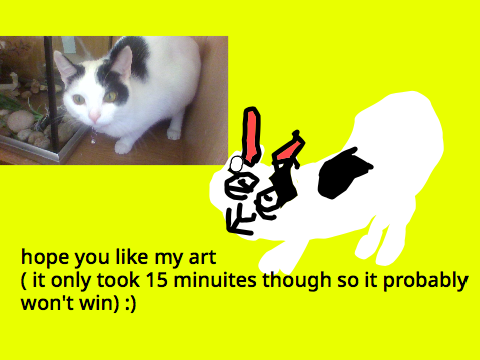 cat contest-Spotty entry