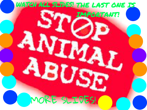 STOP THE MADNESS TODAY! remix