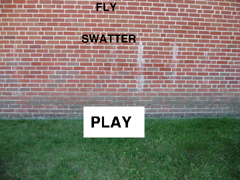 Fly Swatter DEMO