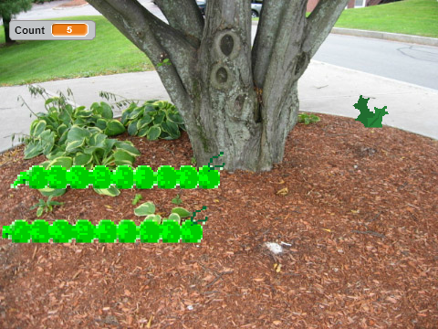 Greedy Catapillars latest