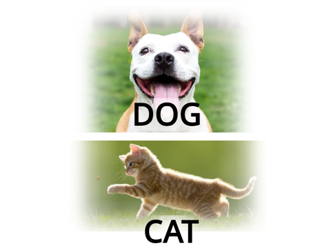 Dogs vs Cats