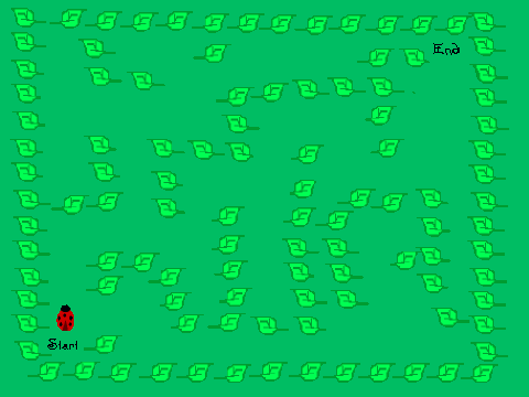 ladybugmaze