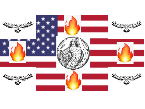 OUR NATIONAL FALCON FLAG