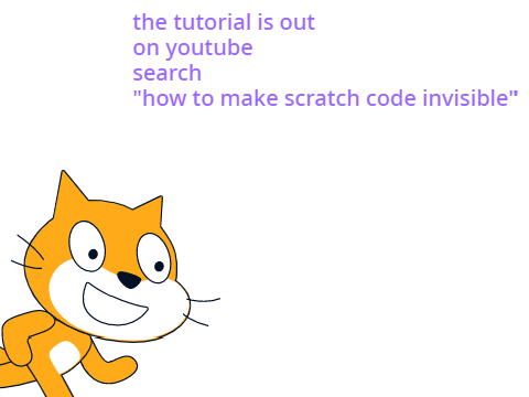 This project has invisible code