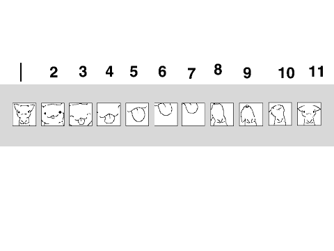 Licky Order and Steps