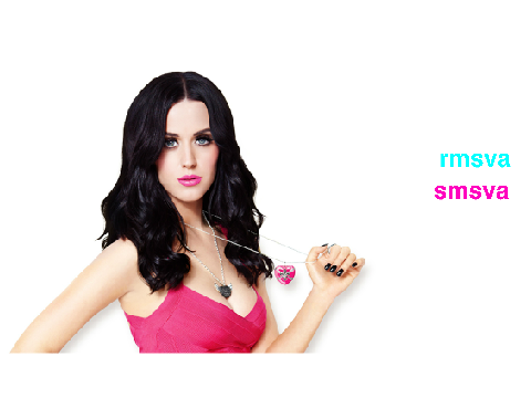 Sign If You Like Katy Perry remix